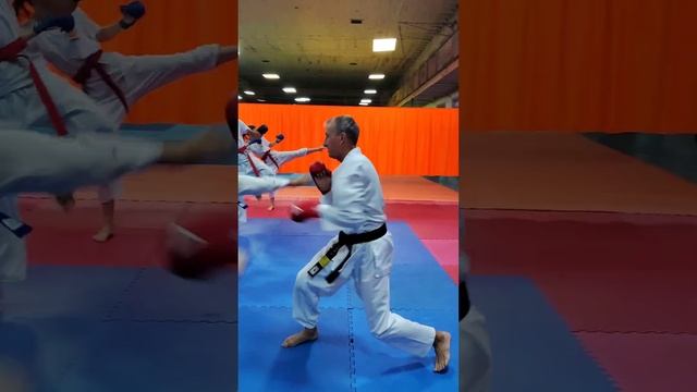 Тренировки в Asai Ryu karatedo. #asairyu #karate #каратэ смотреть онлайн