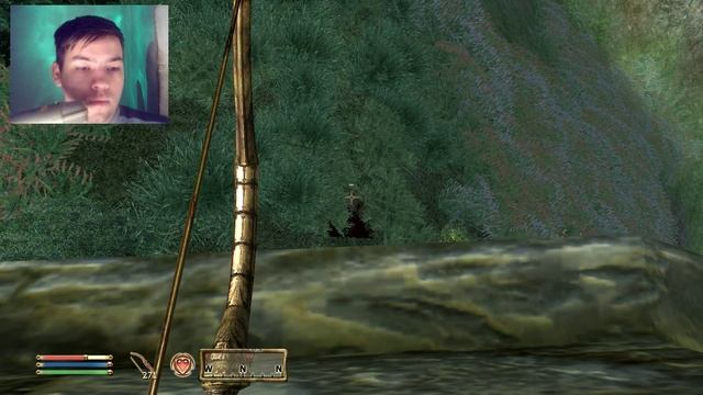 The Elder Scrolls IV:Oblivion №42 Невидимые звери, Тролли, и Спригганы смотреть онлайн