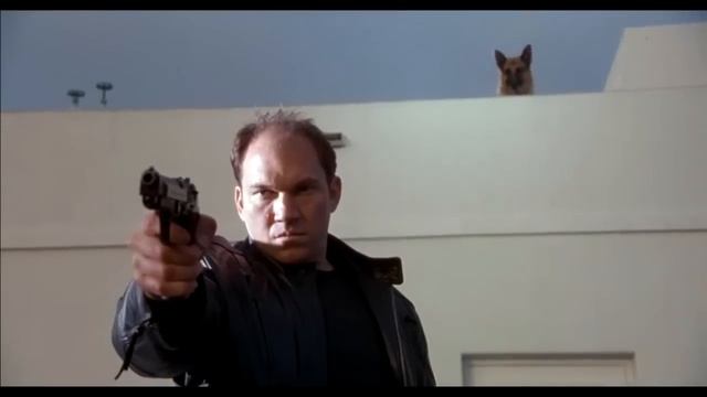 сын собаки смотреть онлайн