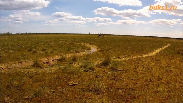 Мотобуксировщик Ураган Волк болото до 3 чел после ливней смотреть онлайн