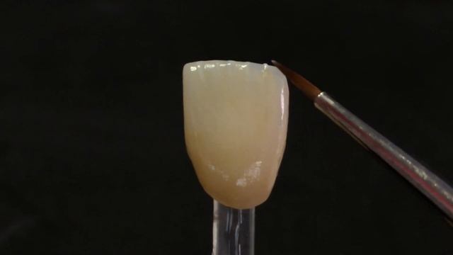 Finitura Corona Anteriore Full Contour Con CZR FC Paste Stain