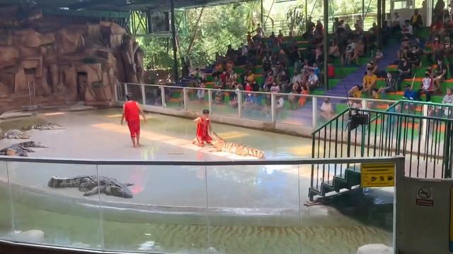 Sriracha tiger zoo!! Free entry ! From 12june 2020 till 30june 2020 !! Jam packed смотреть онлайн