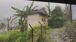 Экстремальная погода в Индонезии. Гулять под проливным дождём в сильный ветер и грозу