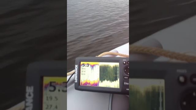Brig 300W + Mercury F8M смотреть онлайн