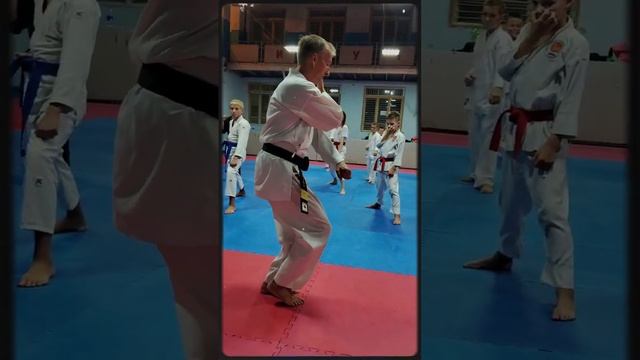 Ждём вас на наших тренировках! Asai Ryu karatedo. #asairyu #каратэ #karate смотреть онлайн