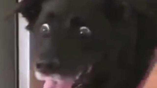 видео смотреть онлайн