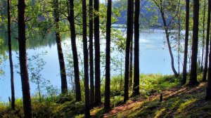 Владимир Захаров - Бокал любви