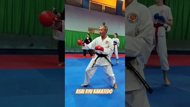 Отработка комбинаций для кумитэ. #asairyu #karate #каратэ смотреть онлайн