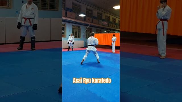 Подводящие упражнения для кумитэ. Asai Ryu karatedo. #karate #каратэ #asairyu смотреть онлайн