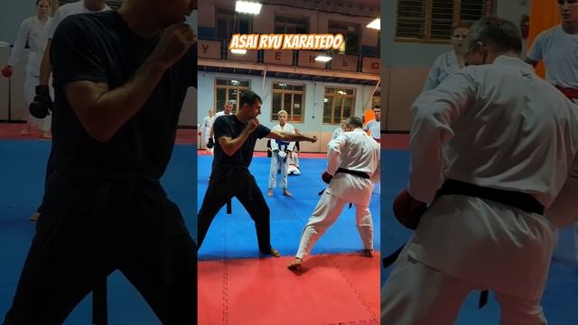 Моменты тренировок. Комбинации. Asai Ryu karatedo. #karate #каратэ #asairyu смотреть онлайн