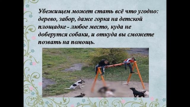 Если напала бродячая собака