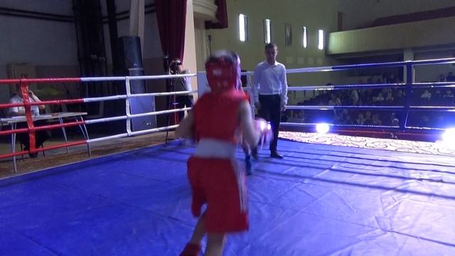 08.10.2023/красный угол Егорев А. (Озёрск) - синий угол Малухин М. (Новобелокатай) смотреть онлайн