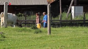 Бабкины Внуки и Николай Валуев - КУЗБАСС [Премьера клипа]