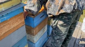 ОТБОР МЁДА С ПОМОЩЬЮ ВОЗДУХОДУВКИ!!!