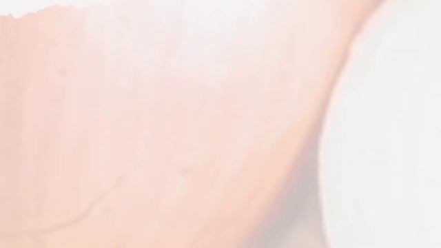 ,, ПИЯЗ,, - ЖОНIНДЕ , СIЗДЕР ЖАКСЫ , БIЛЕСIЗДЕР МЕ.?. смотреть онлайн