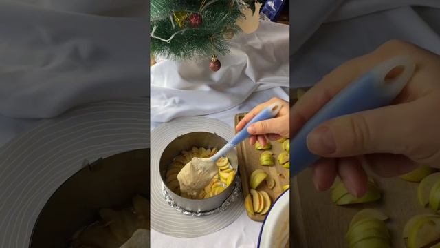 Пп шарлотка🥰 смотреть онлайн