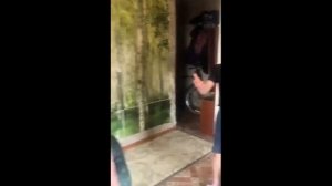 ЛУЧШИЕ МОМЕНТЫ | ИРИШКА ЧИКИ ПИКИ И БЕЗУМНЫЙ ПАША