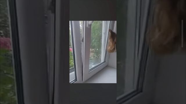 Хозяин смотреть онлайн