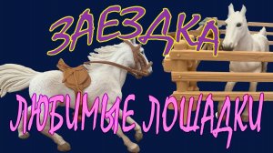 Приключение лошадей. Заездка