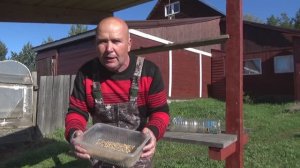 Разведение опарыша ,без запаха-на длительном отдыхе