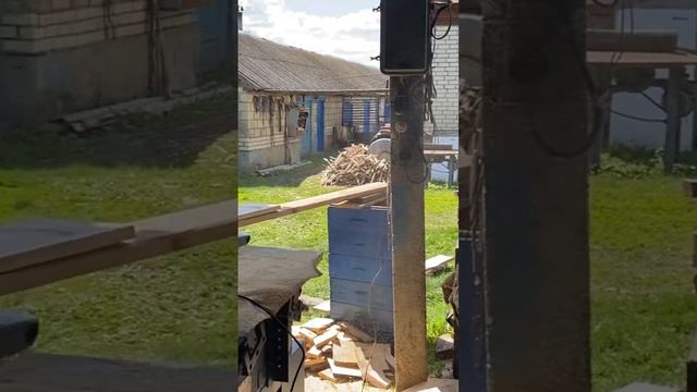 С пчелами работать холодно, торцуем заготовки для рамок!!! #bee #beekeeper