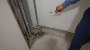 Ремонт совмещенного санузла в новостройке