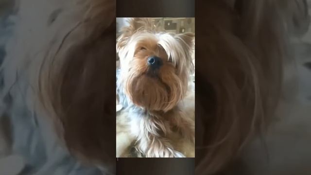 ❤️ смотреть онлайн