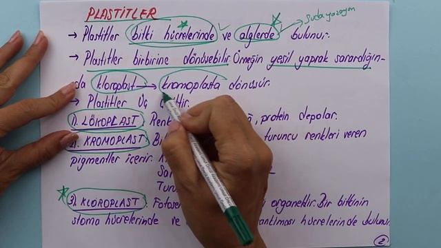 Biyoloji | TYT | Hücre | Hücre Zarı ve Organeller #11 | +PDF смотреть онлайн