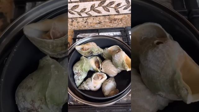 Sea snails dipped in Vietnamese ginger fish sauce #seafooddishes #food #vietnamesefood #cooking смотреть онлайн