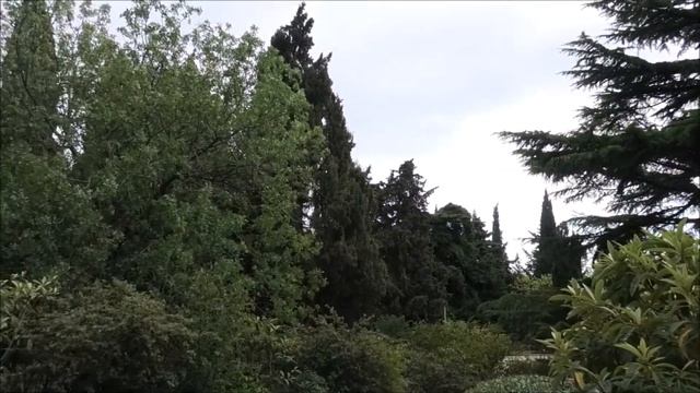 04. Форосский парк - восьмое чудо света // Foros Park - The Eighth Wonder Of The World