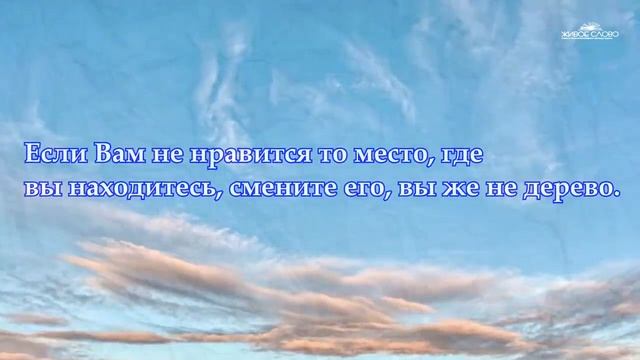 МУДРЫЕ МЫСЛИ Лучшие Цитаты, Афоризмы, Фразы о жизни со смыслом Читает Леонид Ю 1 смотреть онлайн