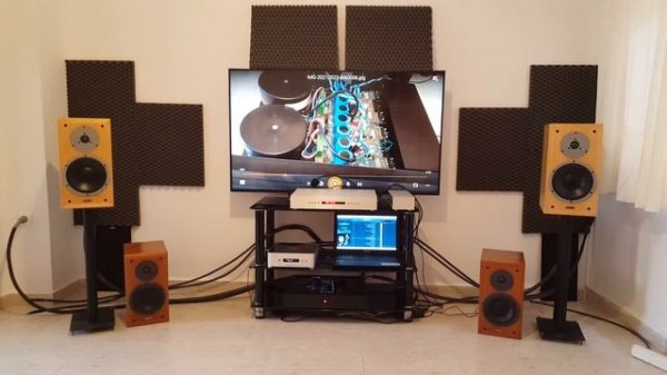 Densen dm 30 +Dynaudio Special Twenty-Five+dac Wadia di122 +virtual dynamics master nordost spm