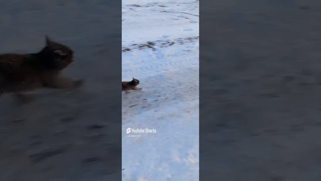 Тихо, мирно и домой...