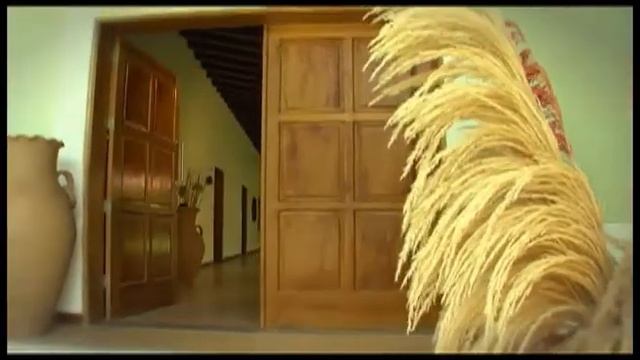 Venetur Hotel Chain Venezuela