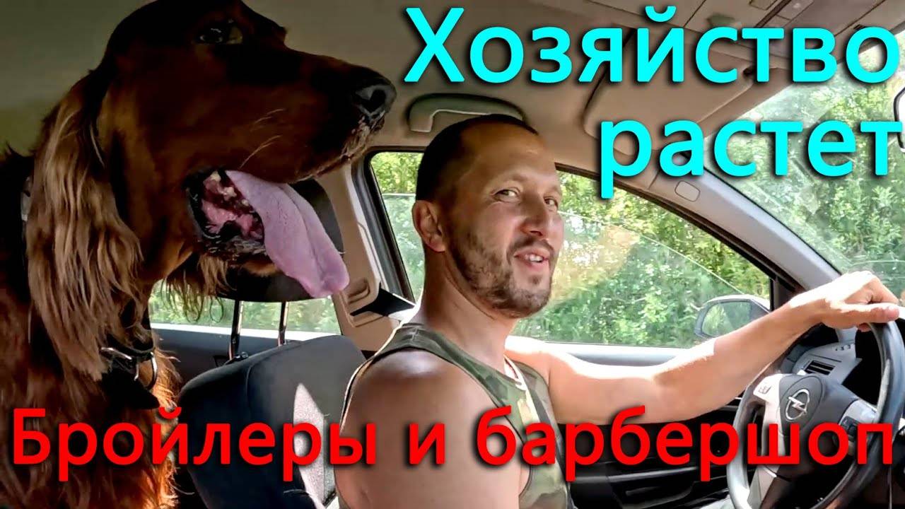 83 новые головы. Завели бройлеров. 1000 км пути чтобы сходить в барбершоп. Новая порода перепелов. смотреть онлайн