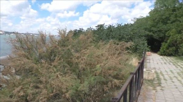 Керчь, пляж на Сморжевского 25 06 24