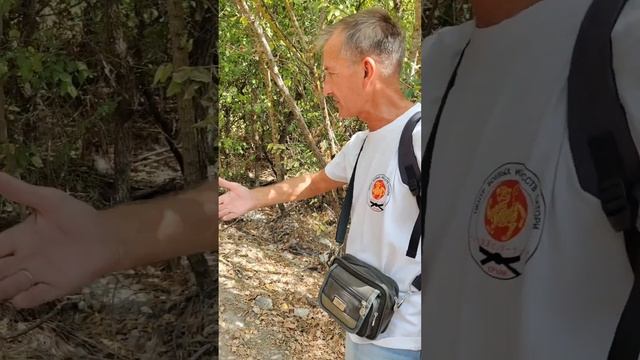 Как с пользой утилизировать старые покрышки. Лайфхак. #лайфхаки смотреть онлайн