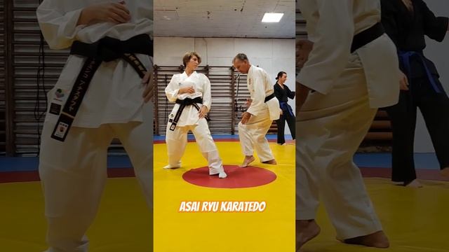 Техника Asai Ryu karatedo. #asairyu #karate #каратэ смотреть онлайн
