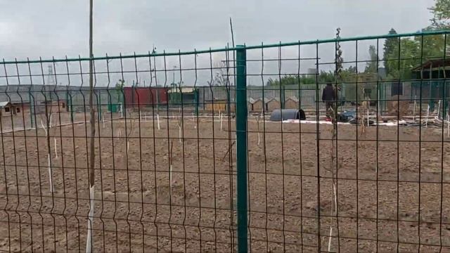 Ташкент. Приют озеленяется! Спасибо, тем , кто нам помогает! смотреть онлайн