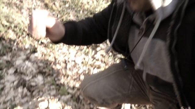 БЕРЕЗОВИЙ СІК ЧУДОДІЙНИЙ смотреть онлайн