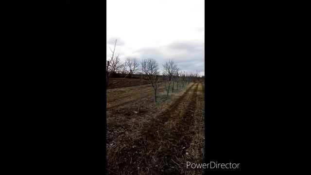 Бордоська рідина..."Робота з абрикосами" смотреть онлайн