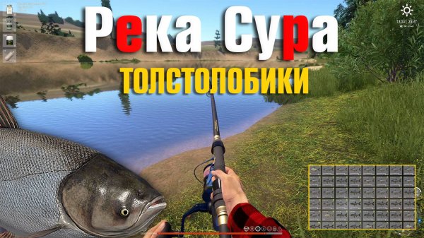 Фарм на Толстолобиках • Белый Толстолобик • Пестрый Толстолобик • Русская Рыбалка 4 • Река Сура