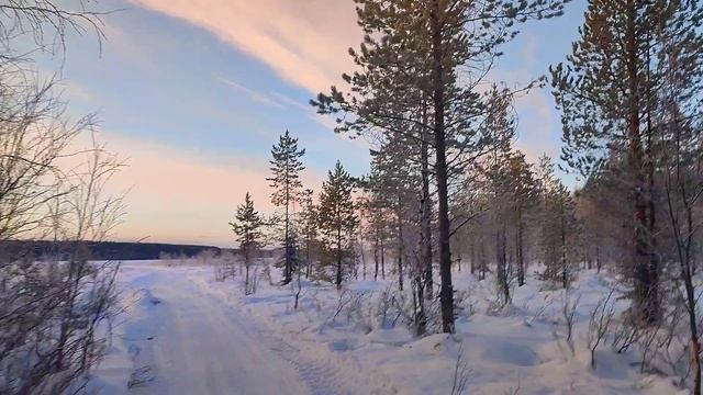 Nature. Karelia. January