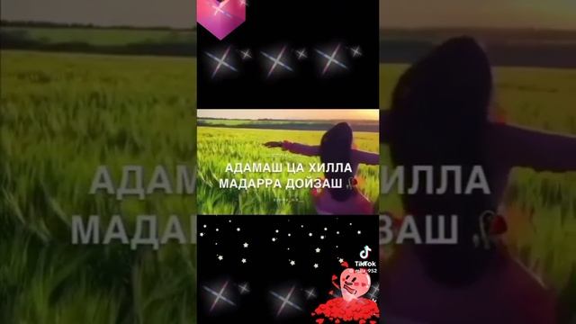 чеч пес
