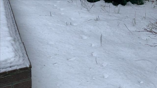 Пруд.Текущее.Посленовогоднее. смотреть онлайн