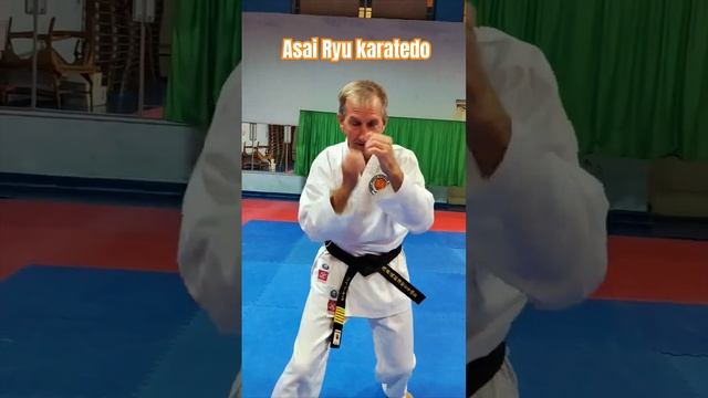 Техника работы рук. Asai Ryu karatedo. #karate #каратэ #asairyu смотреть онлайн