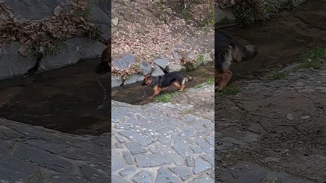 Без воды и не туды и не сюды #арон смотреть онлайн