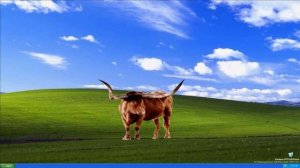 Смешные ошибки 1 сезон 5 серия