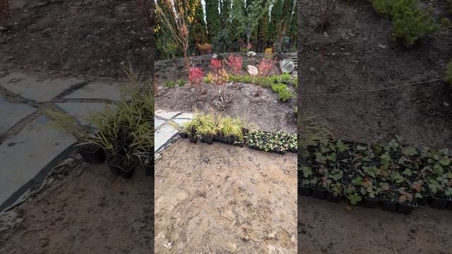 Продолжаем работы в саду смотреть онлайн