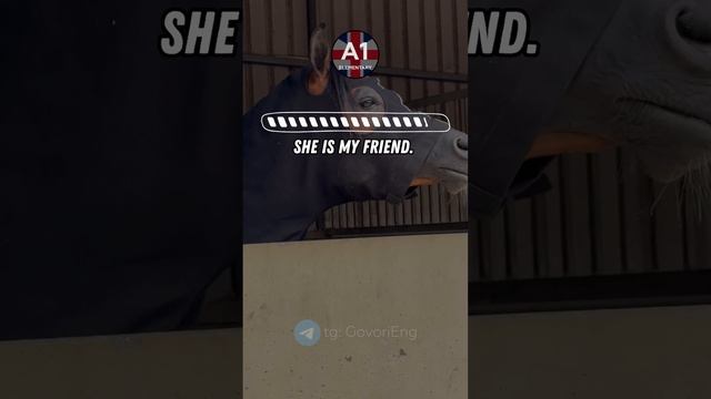 ЛЁГКАЯ ТРЕНИРОВКА АНГЛИЙСКОГО ЯЗЫКА | С нуля до Разговорного Английского за 5 минут в день! смотреть онлайн